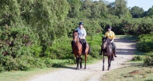 New hobbies to try this autumn on the Costa del Sol