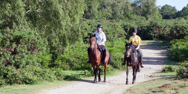 New hobbies to try this autumn on the Costa del Sol