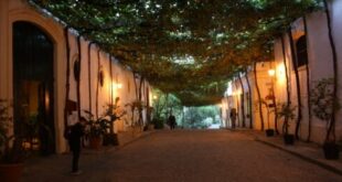 Third time’s a charm: Andalucia city named Spain’s 2026 Gastronomy Capital after entering the competition for the third year in a row