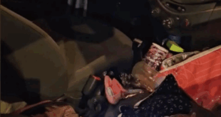 ‘He made me drive or he’d kill us’: French family in ‘race against time’ rescue after horror road trip across Spain