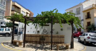 This Andalucian town's famous festival has a free wine fountain