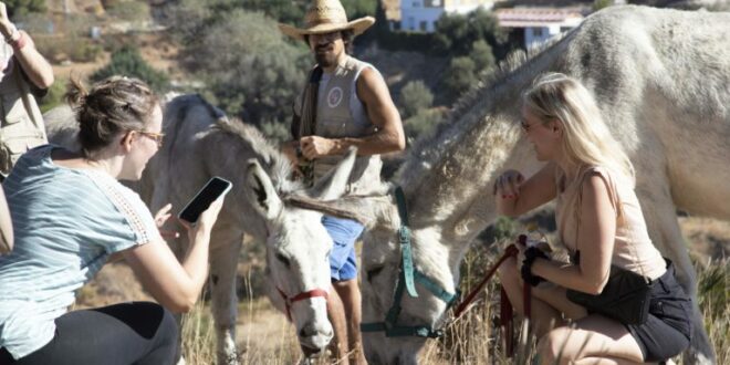 Oktoberfest at Donkey Dreamland rescue sanctuary