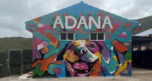 ADANA launches two major Christmas fundraisers in Estepona