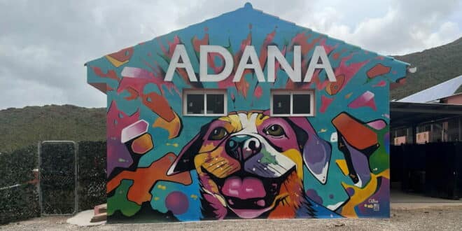 ADANA launches two major Christmas fundraisers in Estepona