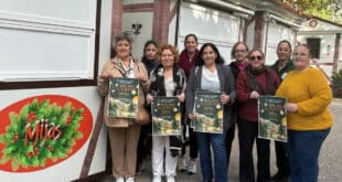 Christmas magic in Mijas