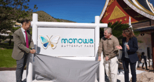 Benalmadena highlights: butterflies and big Investments