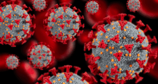 Experts warn: Spain faces severe flu after virus mutates