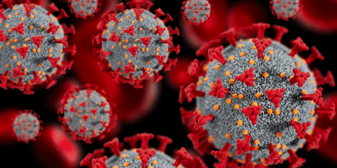 Experts warn: Spain faces severe flu after virus mutates