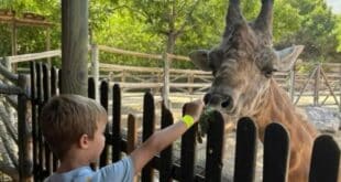 Children invited to experience a wild Christmas adventure at Terra Natura Murcia