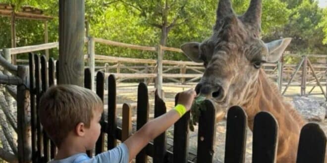 Children invited to experience a wild Christmas adventure at Terra Natura Murcia