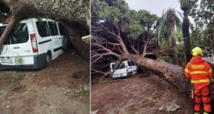 Marbella battered and bruised in aftermath of Storm Claudia – 36 firefighter interventions