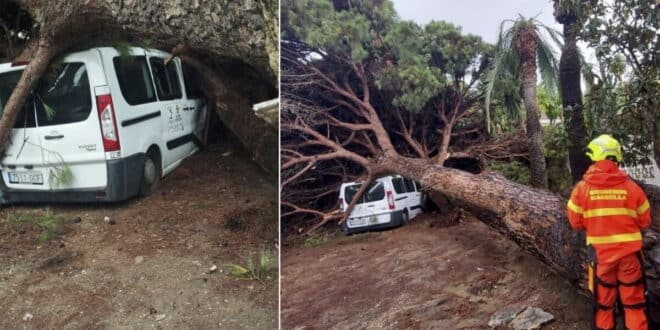 Marbella battered and bruised in aftermath of Storm Claudia – 36 firefighter interventions