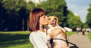 Costa del Sol’s new dog DNA registration rule: What pet owners need to know