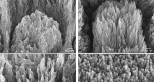 Tooth decay may soon be history: British scientists hail ‘Holy Grail’ breakthrough gel that can restore enamel