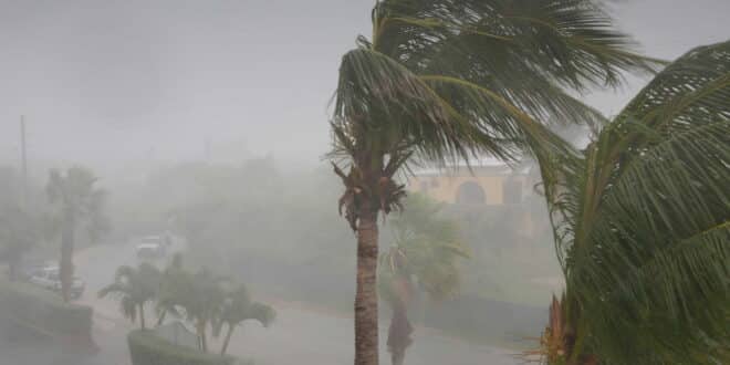 ORANGE ALERT: Costa del Sol braces for torrential rain; Junta activates flood emergency plan