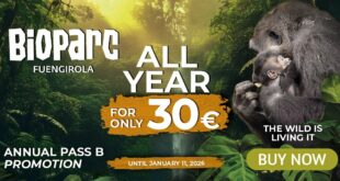 BIOPARC Fuengirola: 365 Days of Conservation on the Costa del Sol