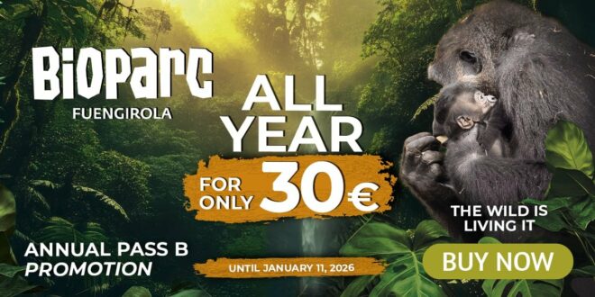 BIOPARC Fuengirola: 365 Days of Conservation on the Costa del Sol