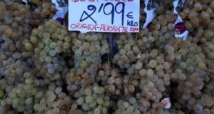 The majority of Spain’s ‘lucky’ midnight grapes come from one part of the country