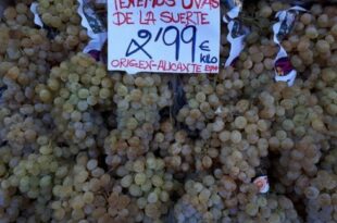 The majority of Spain’s ‘lucky’ midnight grapes come from one part of the country
