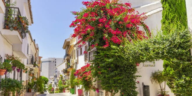 Estepona celebrated for its stunning gardens in ‘Andalucía en Flor’ awards
