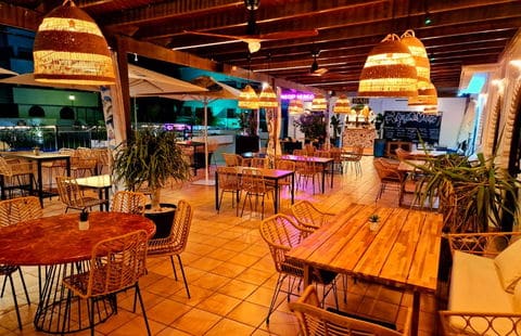 Clean up or pay up: stricter fines for pet owners in Huercal-Overa