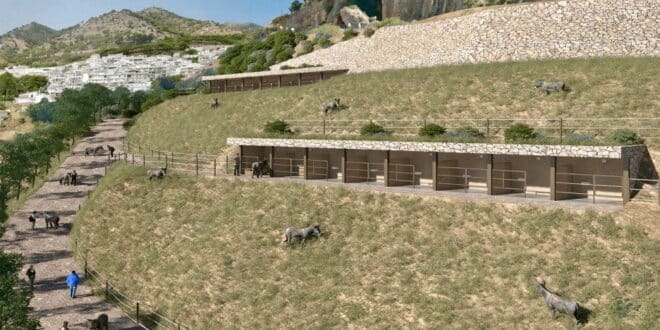 Mijas launches donkey park project