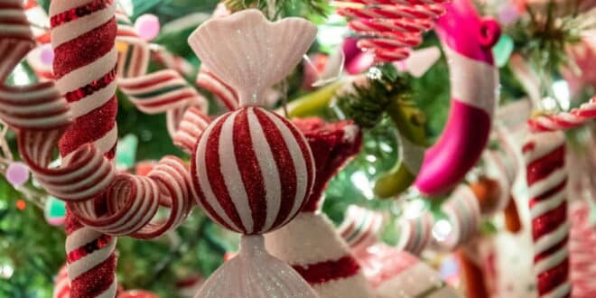 Zoco Home Christmas market, unique gifts and gastronomical delights