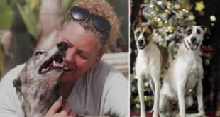 Last Chance Rescue: Christmas plea – gift life