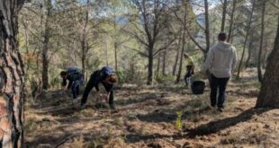 Help the recovery: WWF launches new model to restore Spain’s rural areas and cut wildfire risk