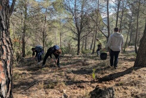 Help the recovery: WWF launches new model to restore Spain’s rural areas and cut wildfire risk