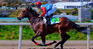 Mijas hippodrome to be brought back to life by council