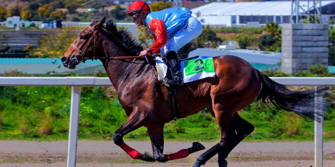Mijas hippodrome to be brought back to life by council