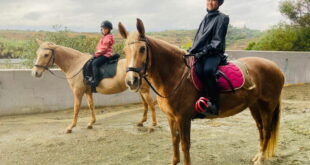 Discover horse riding at Ranch Siesta Los Rubios open afternoon