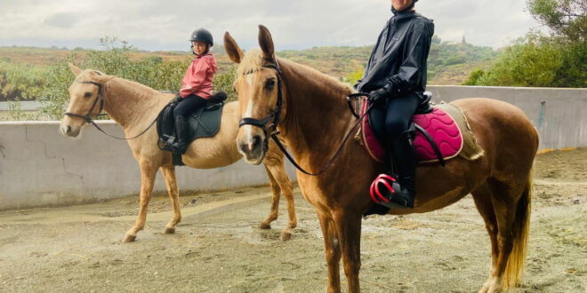 Discover horse riding at Ranch Siesta Los Rubios open afternoon