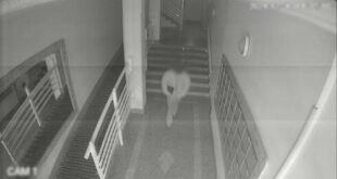 Bogus electricity inspector gang steal €100k from dozens of elderly people across Spain