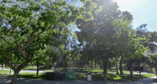 Two teenage girls found dead in a park in southern Spain ‘took their own lives after a campaign of bullying’