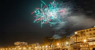 Should fireworks be banned? Festive hell for small children, the elderly & pets