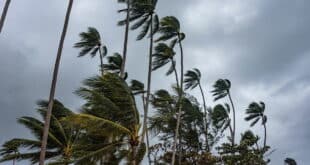 Storm Bram: Yellow alert and DANA rainstorm forecast by AEMET for Andalucian coast and mountains