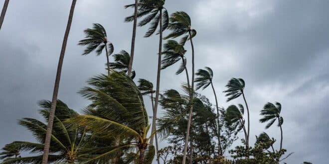 Storm Bram: Yellow alert and DANA rainstorm forecast by AEMET for Andalucian coast and mountains