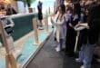 Torrox presence at Fitur 2026 with robots to showcase “Europe’s Best Climate”