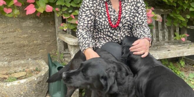 Curious about house- & pet-sitting? Try us in our January sale!