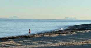 How Marbella’s criminal class dine out in Puerto Banus one day – and carry out daylight robberies the next