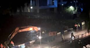 Arty the Burmese: Cat-sitters find him artful if unpredictable