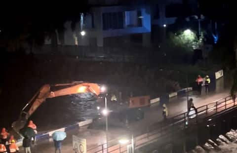 Arty the Burmese: Cat-sitters find him artful if unpredictable