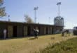 Mijas Hippodrome racecourse offers to take in vulnerable animals during worst of storm weather