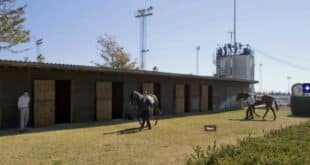 Mijas Hippodrome racecourse offers to take in vulnerable animals during worst of storm weather