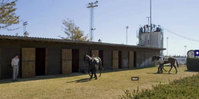 Mijas Hippodrome racecourse offers to take in vulnerable animals during worst of storm weather