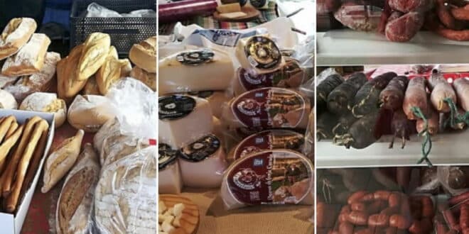 Cheese fair, Coin returns for 2026 with a healthier, more natural flavour