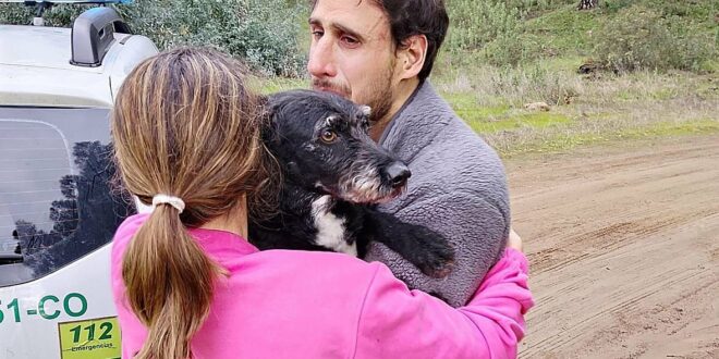 Boro, the dog of a pregnant Malaga woman in critical condition after the Adamuz train accident, is rescued and will now return to his family