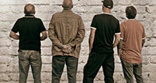 BritPop Authority: Old dogs in Malaga Province who definitely have a new trick or two